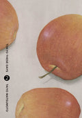 Cover Image for Tokyo These Days, Vol. 2 -- Taiyo Matsumoto, Hardcover
