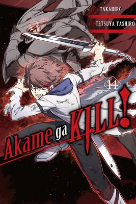 Cover Image for Akame Ga Kill!, Vol. 14 -- Takahiro, Paperback