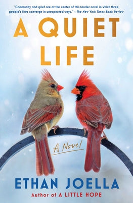 Cover Image for A Quiet Life -- Ethan Joella, Paperback