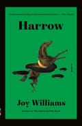 Cover Image for Harrow: A Novel (Kirkus Prize) -- Joy Williams, Paperback