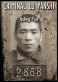 Cover Image for Criminal Lu Yanshi -- Geling Yan, Paperback