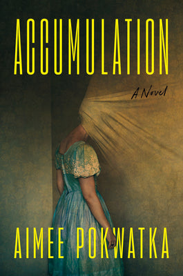 Cover Image for Accumulation -- Aimee Pokwatka, Hardcover