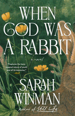 Cover Image for When God Was a Rabbit -- Sarah Winman, Paperback