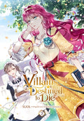 Cover Image for Villains Are Destined to Die, Vol. 2 -- Suol, Paperback