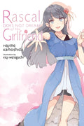 Cover Image for Rascal Does Not Dream of His Girlfriend (Light Novel) -- Hajime Kamoshida, Paperback