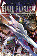 Cover Image for Final Fantasy Lost Stranger, Vol. 12 -- Hazuki Minase, Paperback