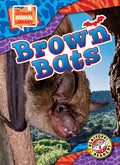 Cover Image for Brown Bats -- Janie Scheffer, Library Binding