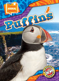 Cover Image for Puffins -- Chris Bowman, Library Binding