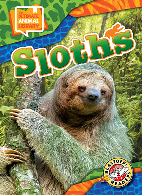 Cover Image for Sloths -- Janie Scheffer, Library Binding