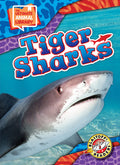 Cover Image for Tiger Sharks -- Janie Scheffer, Library Binding