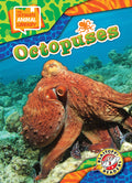 Cover Image for Octopuses -- Chris Bowman, Library Binding