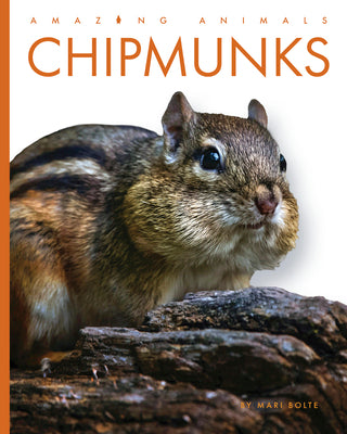 Cover Image for Chipmunks -- Mari Bolte, Library Binding