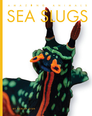 Cover Image for Sea Slugs -- Ashley Gish, Library Binding
