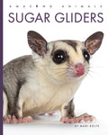 Cover Image for Sugar Gliders -- Mari Bolte, Library Binding