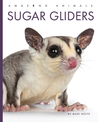 Cover Image for Sugar Gliders -- Mari Bolte, Library Binding