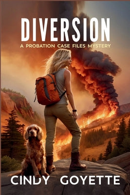 Cover Image for Diversion: A Probation Case Files Mystery -- Cindy Goyette, Paperback