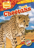 Cover Image for Cheetahs -- Janie Scheffer, Library Binding