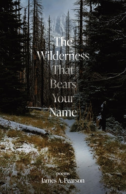 Cover Image for The Wilderness That Bears Your Name -- James A. Pearson, Paperback